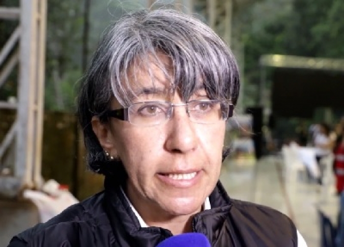 Invías espera de los estudios y diseños de la carretera provisional en el paso de Los Grillos