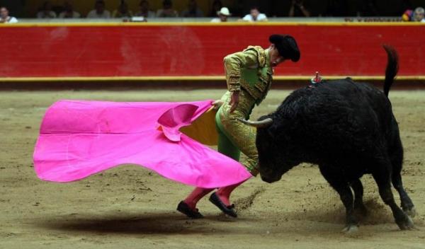 No habrá temporada taurina en las Fiestas de Aguazul