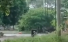 Policía desactiva artefacto explosivo en Hato Corozal