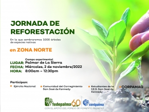 Fedepalma y Cenipalma inician la primera jornada de reforestación para la siembra de más de 11.600 árboles de especies nativas
