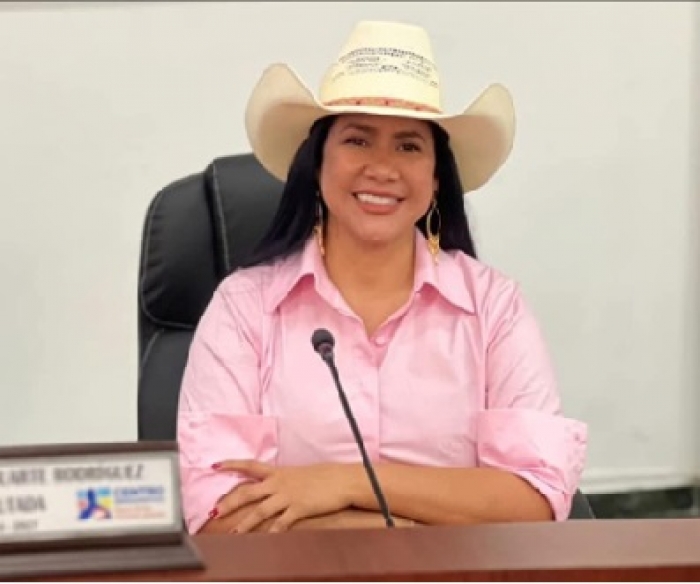 Las razones por las cuales el Tribunal negó la pérdida de investidura a la diputada Marisela Duarte