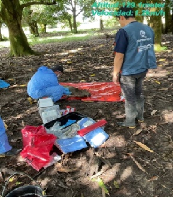 Investigan muerte de chigüiros en Casanare por posible brote zoonótico en zona rural de Paz de Ariporo