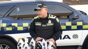 Policía confía en esclarecer muy pronto robo a tienda de celulares