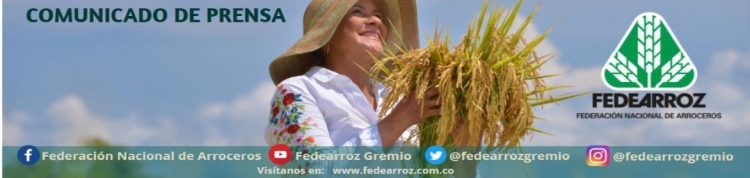 Fedearroz advierte sobre uso fraudulento de nombres, logos y datos