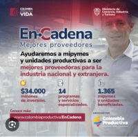 Se buscan 250 empresas de servicios para ayudarles a mejorar sus capacidades de proveeduría