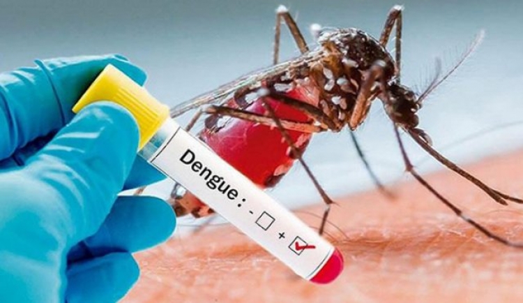 9 municipios de Casanare en epidemia por dengue