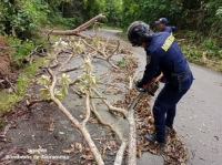 Fuerte aguacero en Tauramena generó caída de árboles en vía alterna que comunica con Monterrey