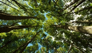 Portal de la Transparencia Ambiental de GeoPark: Un Compromiso con la Conservación de la Biodiversidad