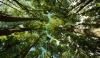 Portal de la Transparencia Ambiental de GeoPark: Un Compromiso con la Conservación de la Biodiversidad