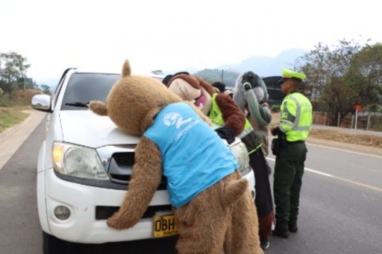 Ceda el paso: Corporinoquia entregó recomendaciones para evitar accidentes con fauna silvestre en las carreteras