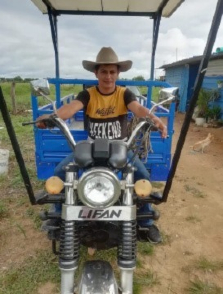 La culpa fue de la vaca: motociclista perdió la vida al estrellarse con un semoviente