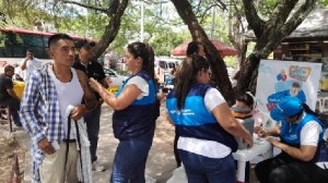 Fiebre amarilla: se encienden las alarmas por la propagación de la enfermedad