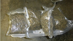 Autoridades incautan marihuana en la Marginal del Llano