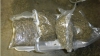 Autoridades incautan marihuana en la Marginal del Llano