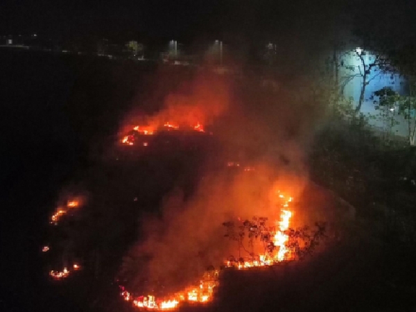 Corporinoquia iniciará procesos sancionatorios por quemas de sabana en Arauca