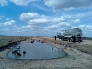Con carrotanques mitigan muerte de animales en Paz de Ariporo