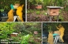 Ejemplo de cuidado ambiental: Bomberos de Tauramena cuenta con un refugio para abejas africanizadas