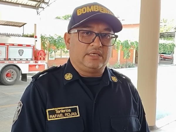 Nuevo ataque de abejas en zona urbana de Yopal