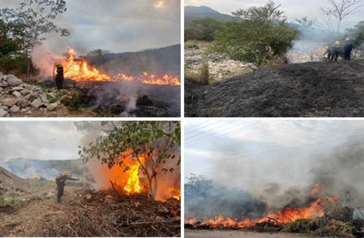 Incendios forestales siguen en línea ascendente