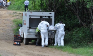 Fallece hombre tras caerle un árbol encima en Hato Corozal