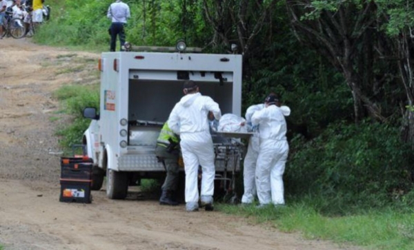 Fallece hombre tras caerle un árbol encima en Hato Corozal