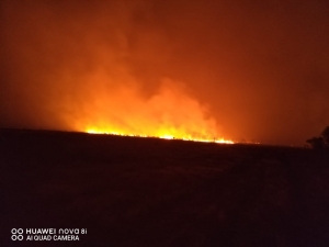 Fuerte incendio forestal se registra en zona rural del municipio de Paz de Ariporo