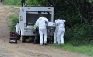 Presunto delincuente murió en un intento de hurto en una finca de Paz de Ariporo