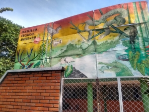 El Instituto Técnico Ambiental de Yopal recibirá el premio Tapetes Verdes por el desarrollo de dos proyectos ambientales
