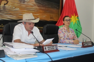 En segundo debate la Asamblea de Casanare aprobó el nuevo estatuto orgánico de presupuesto para el departamento
