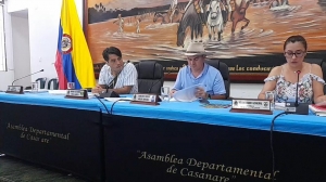En sesión plenaria la Asamblea Departamental aprobó dos importantes Proyectos de Ordenanza para el departamento de Casanare