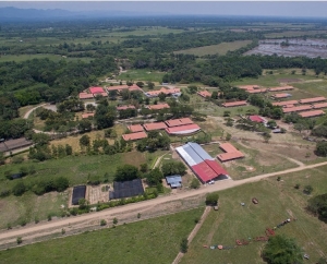 Mañana lanzamiento del programa Colombia Alimentaria en Yopal