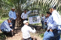 Fedepalma apunta a las prácticas agrícolas bajas en carbono