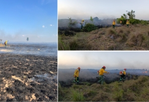 Incendio forestal de gran magnitud consumió cerca de 1.000 hectáreas en Aguazul
