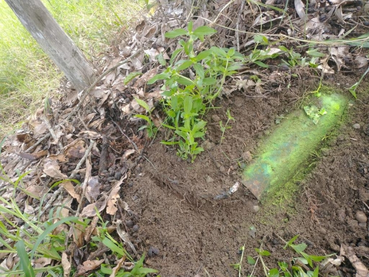 12 artefactos de 40 libras cada uno fueron ubicados por el ELN en Arauquita