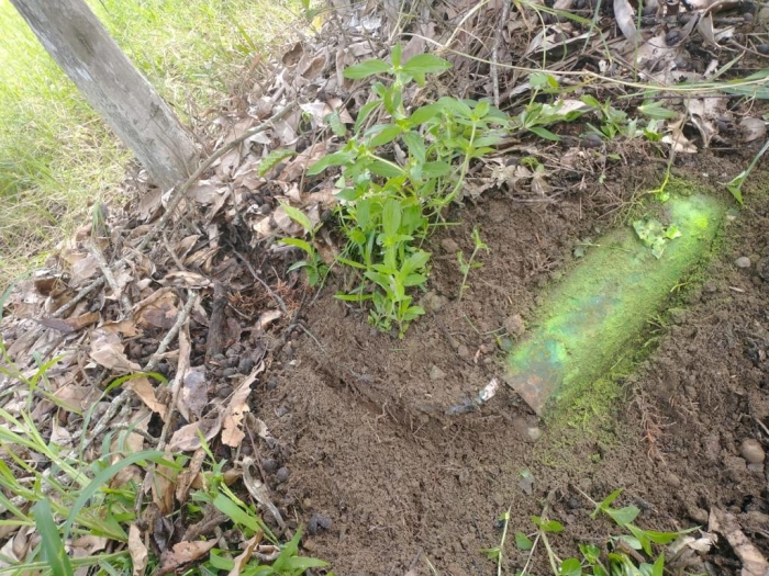 12 artefactos de 40 libras cada uno fueron ubicados por el ELN en Arauquita