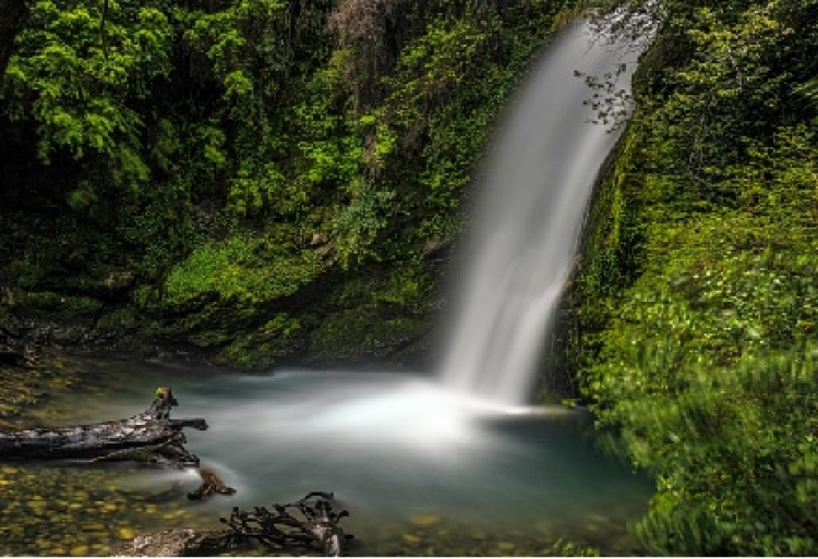 Desde la Orinoquia se proyecta la actualización del plan de acción de la biodiversidad del país